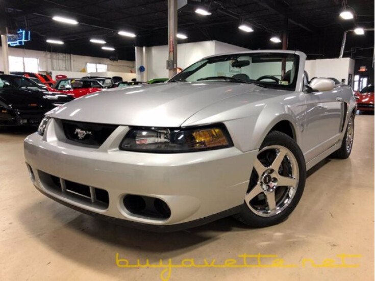 Photo for 2004 Ford Mustang Cobra Convertible